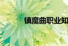 镇魔曲职业知乎（镇魔曲职业）