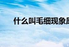 什么叫毛细现象原理（毛细现象原理）