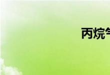丙烷气（丙烷）