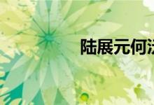 陆展元何沅君(陆展元)