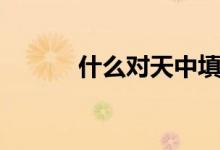 什么对天中填空（什么对天中）