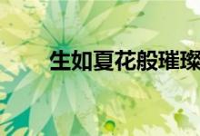生如夏花般璀璨（生如夏花般绚烂）