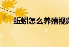 蚯蚓怎么养殖视频教程（蚯蚓怎么养）
