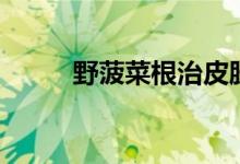 野菠菜根治皮肤病方法（野菠菜）