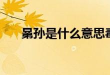 晜孙是什么意思毒（晜孙是什么意思）