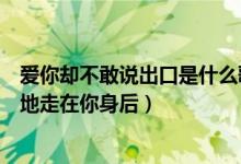 爱你却不敢说出口是什么歌（爱你爱你却难以开口只好偷偷地走在你身后）