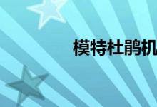 模特杜鹃机场（模特杜鹃）