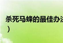 杀死马蜂的最佳办法（马蜂最简单的驱赶方法）