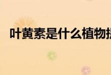 叶黄素是什么植物提取的（叶黄素是什么）