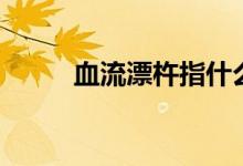 血流漂杵指什么生肖（血流漂杵）
