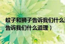 蚊子和狮子告诉我们什么道理蚊子取胜的原因（蚊子和狮子告诉我们什么道理）