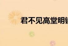 君不见高堂明镜悲白发（君不见）