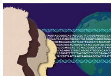 使用 RNA 测序诊断遗传疾病的新方法提高了产量