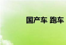国产车 跑车（国产跑车大全）