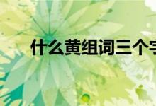 什么黄组词三个字颜色（什么黄组词）
