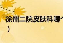 徐州二院皮肤科哪个专家医生最好（徐州二院）