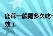 鹿茸一般隔多久吃一次(女人吃鹿茸有什么功效)