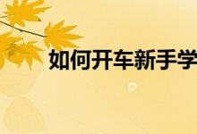 如何开车新手学车教程（如何开车）