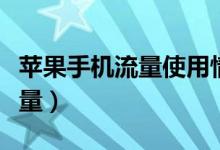 苹果手机流量使用情况怎么查询（苹果手机流量）