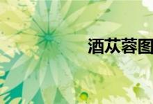 酒苁蓉图片（酒苁蓉）