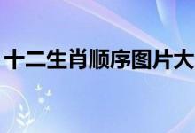 十二生肖顺序图片大全12张（十二生肖顺序）
