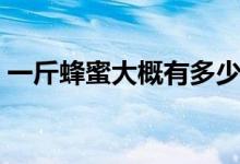 一斤蜂蜜大概有多少（正宗蜂蜜多少钱一斤）