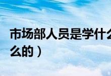 市场部人员是学什么专业（市场部专员是干什么的）