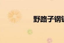野路子钢镚儿（野路子）