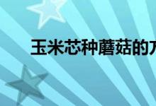 玉米芯种蘑菇的方法（种蘑菇的方法）