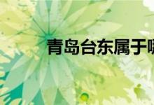 青岛台东属于哪个区（青岛台东）