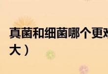 真菌和细菌哪个更难治（真菌和细菌哪个危害大）