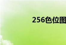 256色位图文件（256色）