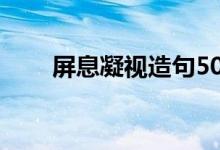屏息凝视造句50字（屏息凝视造句）