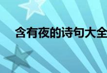 含有夜的诗句大全简单（含有夜的诗句）