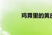 鸡胃里的黄皮叫什么（鸡胃）