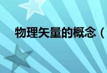 物理矢量的概念（什么是物理矢量数据）