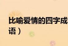比喻爱情的四字成语（爱情成语大全 四字成语）