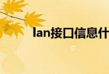 lan接口信息什么意思（lan接口）