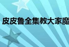 皮皮鲁全集教大家魔方的教程（皮皮鲁全集）