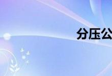 分压公式（分压）