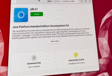 如何在 Ubuntu 上安装 Java