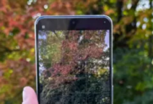 Pixel 8 和 Pixel 8 Pro 借助 Adob​​e RAW 支持变得更加出色