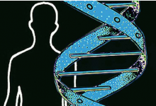基因测试可能无法改变人们不健康的生活方式