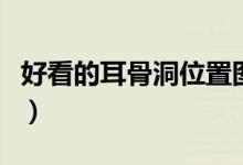 好看的耳骨洞位置图片（好看的耳洞位置图片）