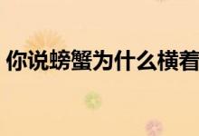你说螃蟹为什么横着走（螃蟹为什么横着走）