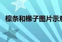 檩条和椽子图片示意图（檩条和椽子图片）