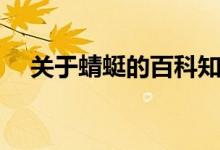 关于蜻蜓的百科知识（有关蜻蜓的资料）
