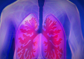 物理治疗被证明可以显着改善慢性阻塞性肺病患者的生活质量
