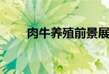 肉牛养殖前景展望（肉牛养殖前景）