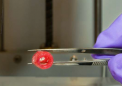 工程师创建 3D 生物打印血管